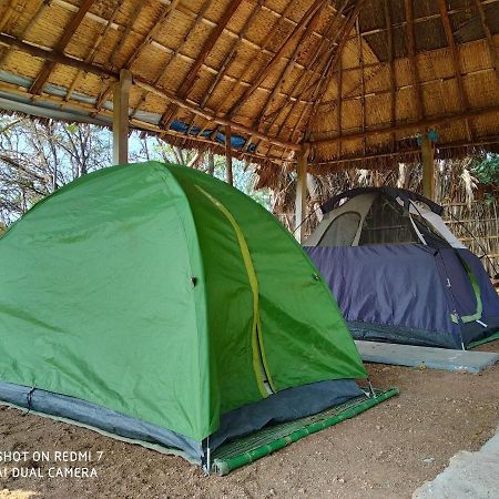 Hôtel Drunken Monkey Camping Site à Hampi Extérieur photo
