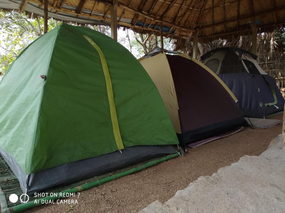 Hôtel Drunken Monkey Camping Site à Hampi Extérieur photo