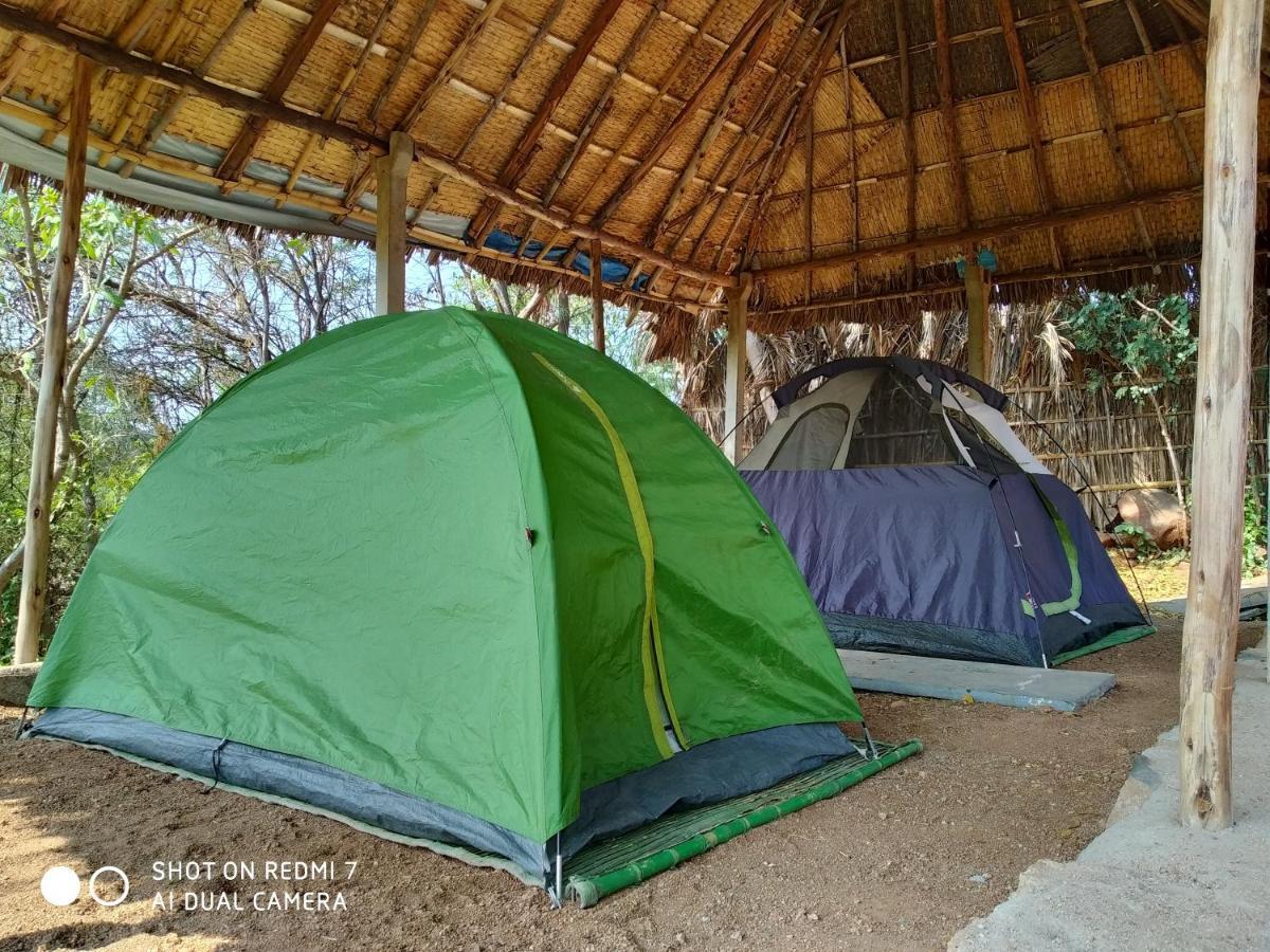 Hôtel Drunken Monkey Camping Site à Hampi Extérieur photo