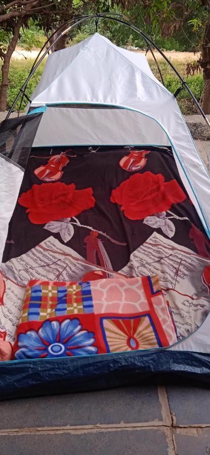 Hôtel Drunken Monkey Camping Site à Hampi Extérieur photo